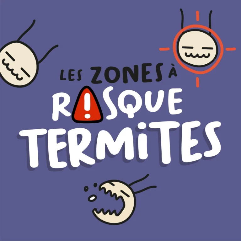 Les zones à risque termites
