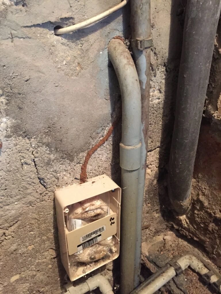 Tube terreux à traiter contre les termites